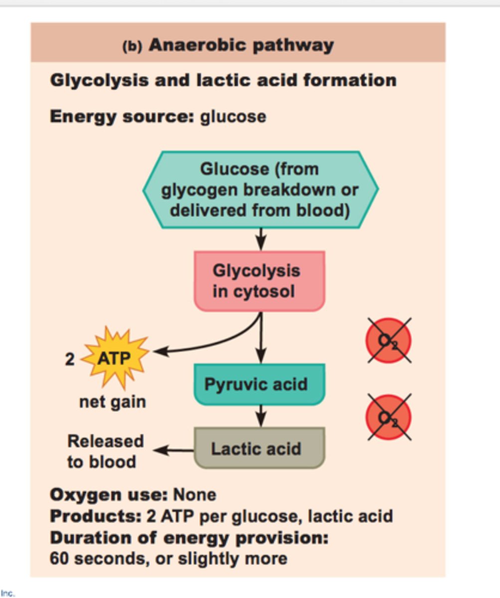 <p>- tissue edema causes high tissue pressure, decreased perfusion to cells, and hypoxia/ischemia resulting in anaerobic metabolism</p><p>- vasodilation causes further risk of low perfusion pressure leading to ischemia + anaerobic metabolism (metabolic acidosis risk)</p><p>- clotting (can trigger severe hypotension)</p>
