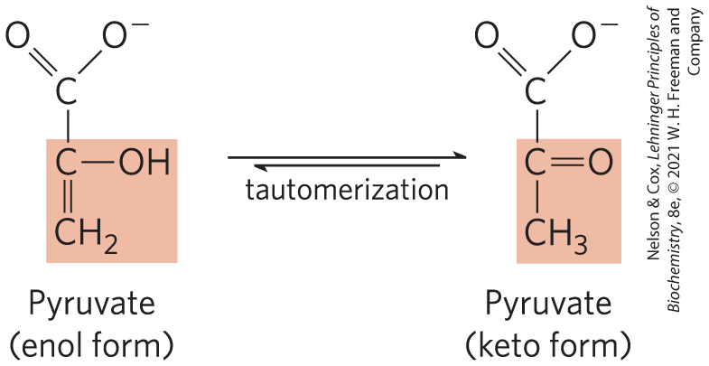 <p>Tautomerizes to its Keto Form</p>