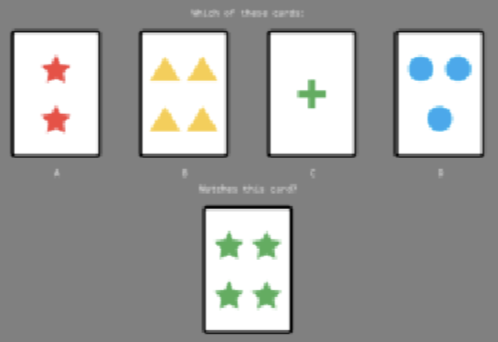 <p>Wisconsin card sort test </p>