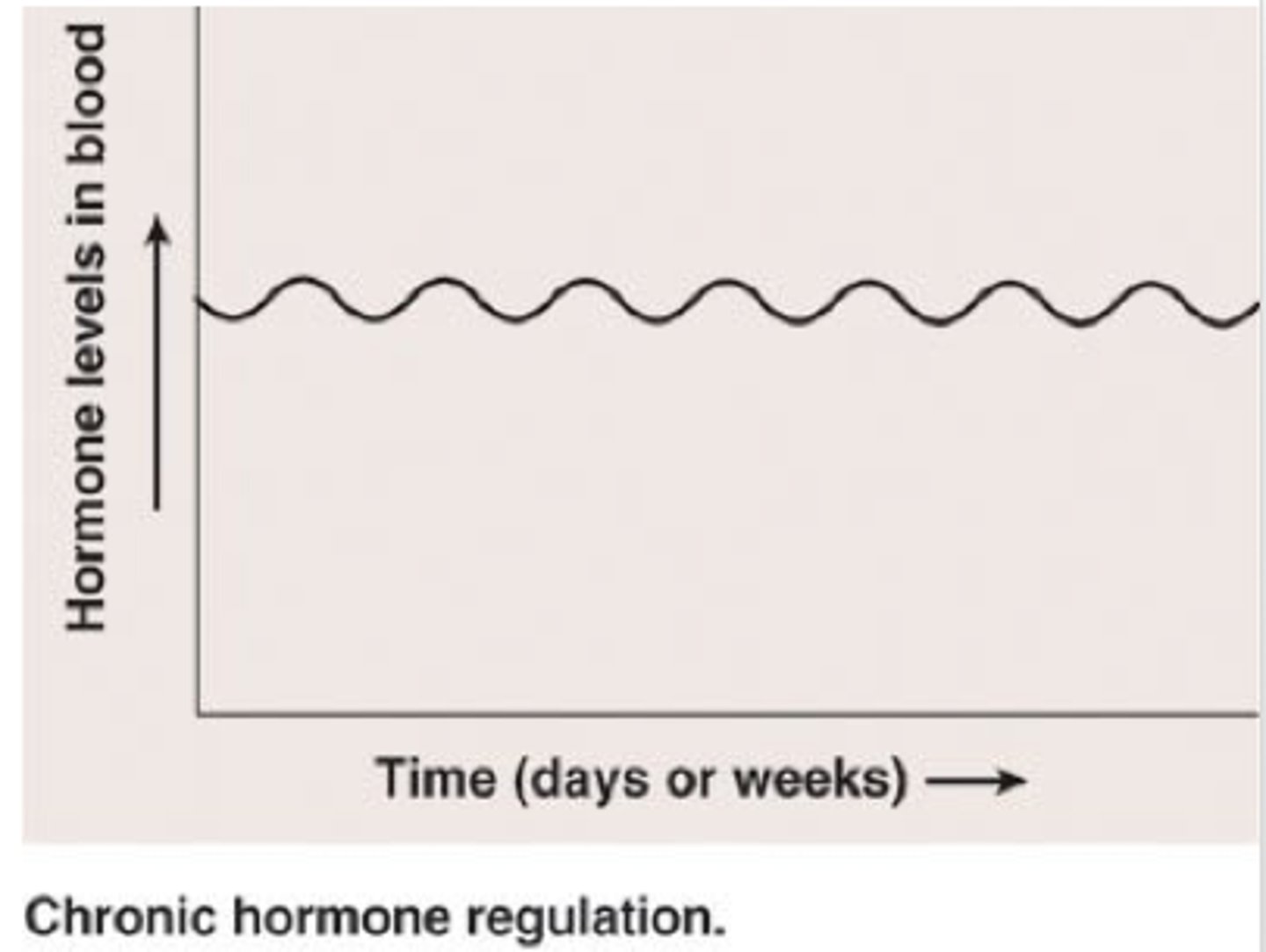 <p>Maintenance of relatively constant concentration of hormone.</p><p>Like T4 and T3.</p>