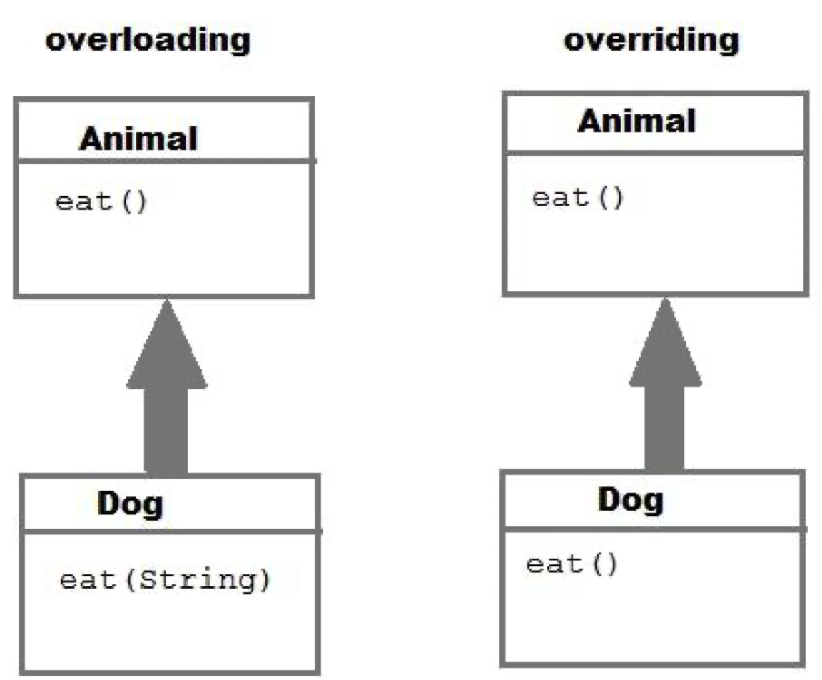 <ul><li><p>overloading = same function but different parameters</p></li><li><p>overriding = same function, same parameters but different classes connected through inheritance</p></li></ul>