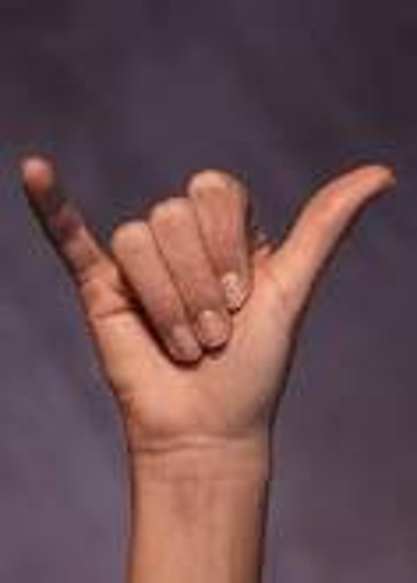 <p>Index, middle and ring ringers folded against palm. Little finger and thumb are straight and spread wide.</p>