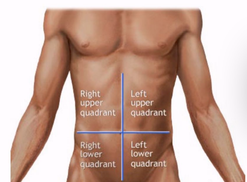 <ul><li><p>right upper quadrant (RUQ)</p></li><li><p>left upper quadrant (LUQ)</p></li><li><p>right lower quadrant (RLQ)</p></li><li><p>left lower quadrant (LLQ)</p></li></ul><p></p>