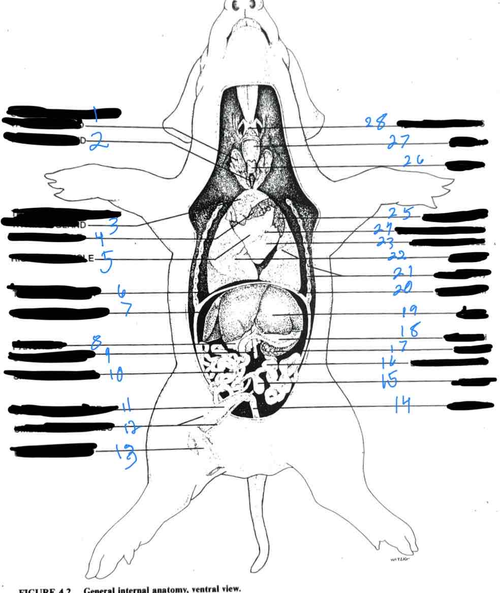 <p>9</p>