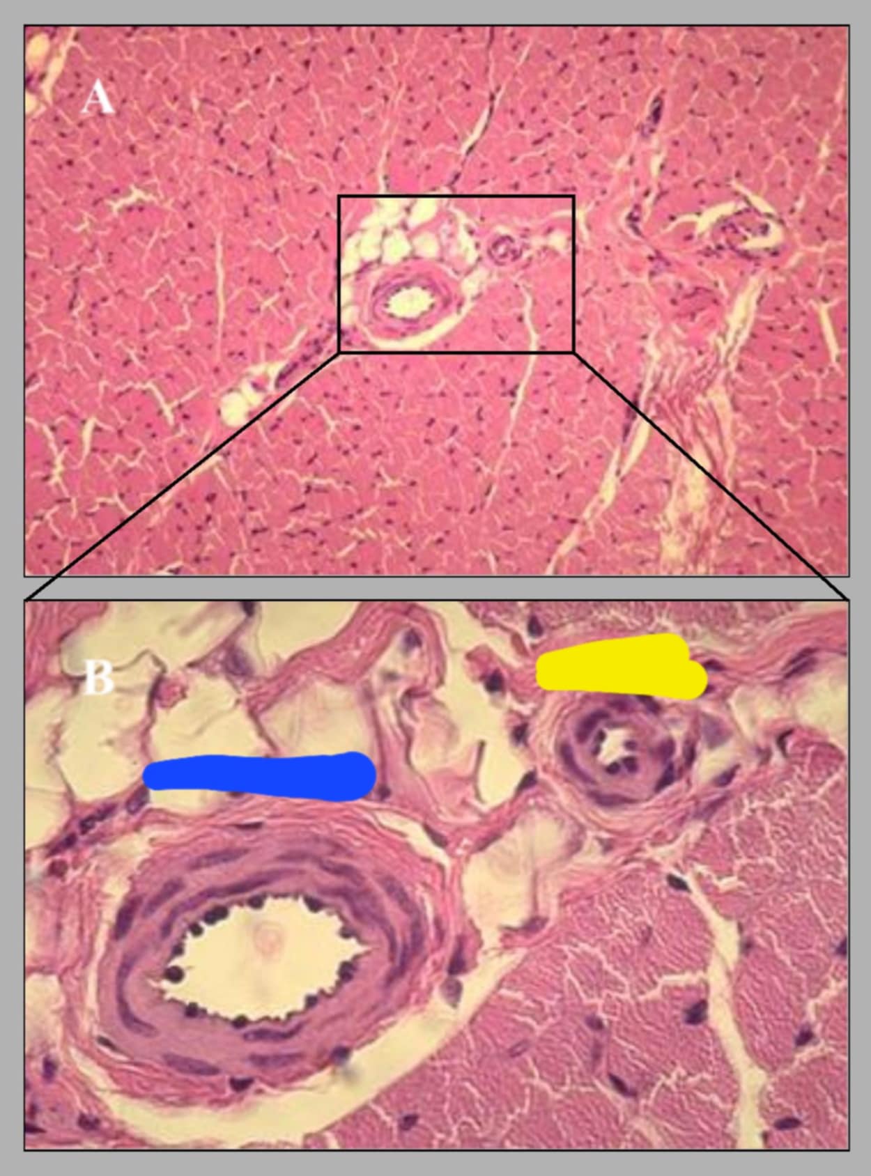 <p>name this slide and state its parts</p>