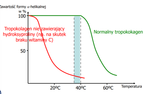 wzmacnia odporność termiczną tropokolagenu
