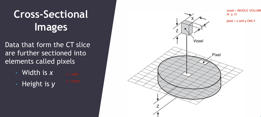 <p>Pixel = x * y</p><p>Voxel = x, y, z</p>
