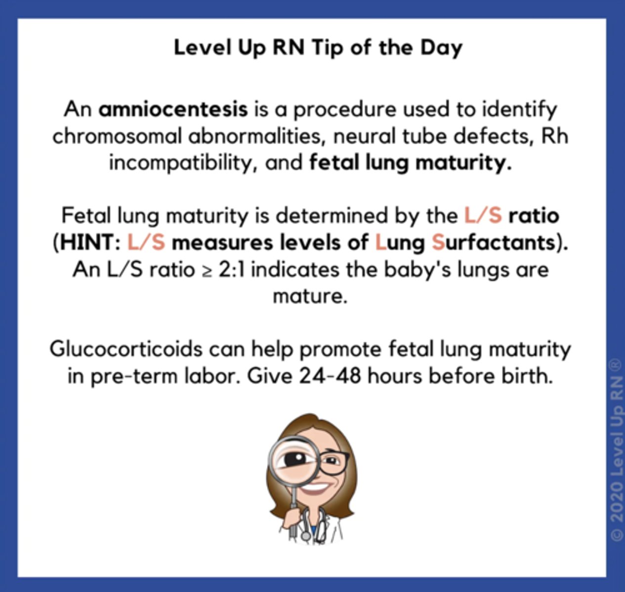 <p>The infant is at high risk for respiratory distress syndrome.</p><p>When the L/S ratio reaches 2:1, the lungs are considered to be mature. The infant will most likely be small for gestational age and will not be at risk for birth trauma. The L/S ratio does not indicate congenital anomalies, and the infant is not at risk for intrauterine growth retardation, .</p>