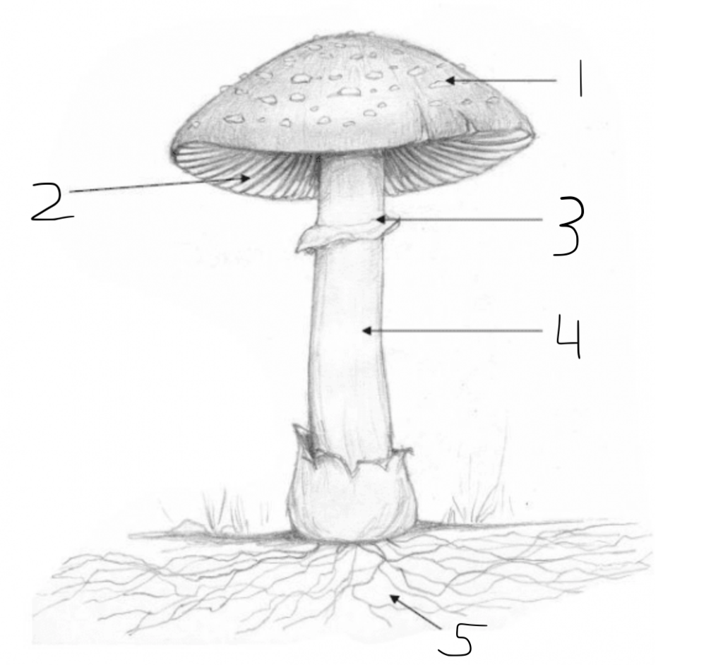 what part if number 2