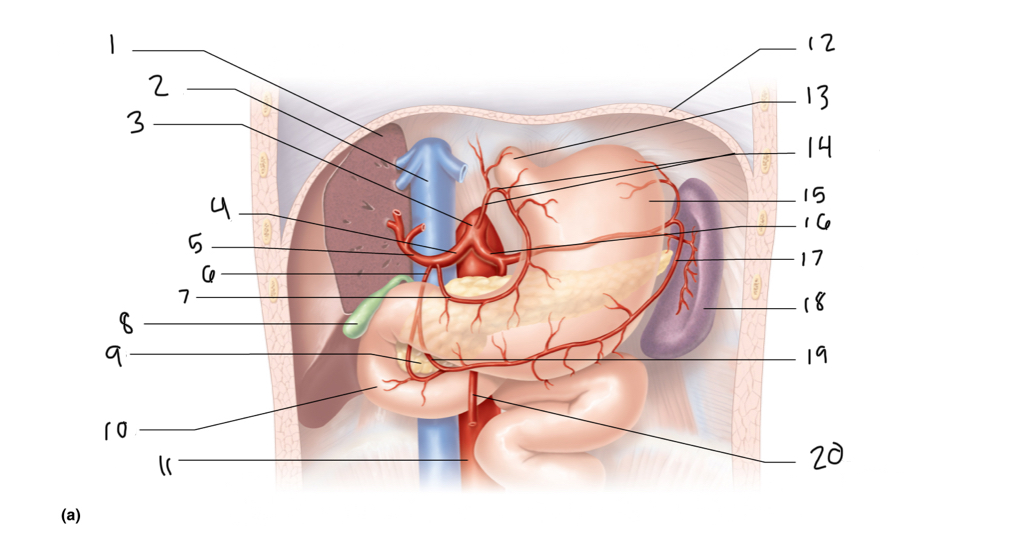 <p>11</p>