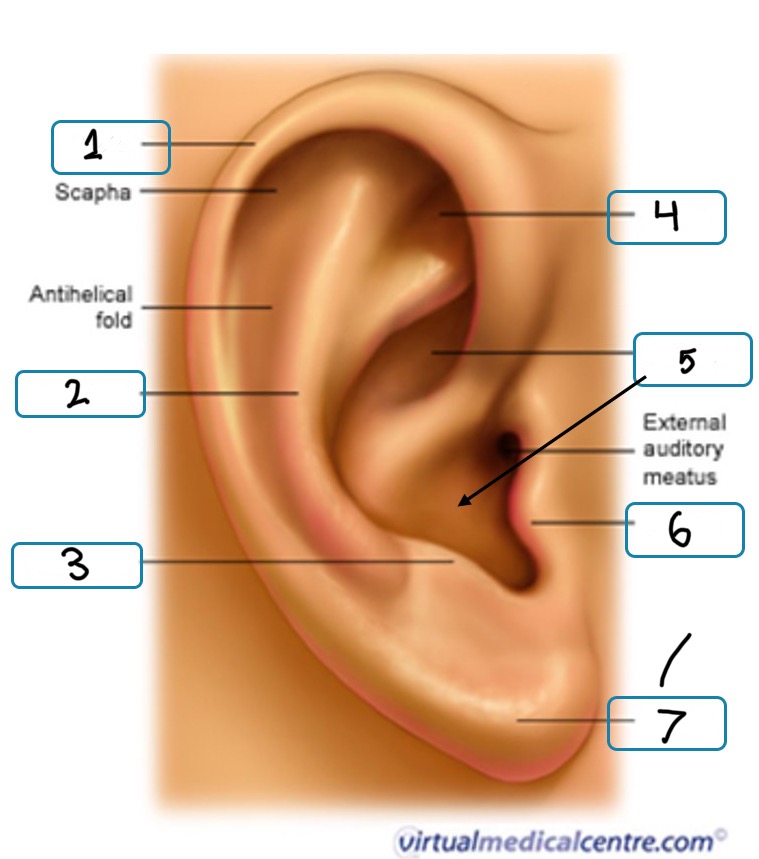 <p>What is number 6</p>