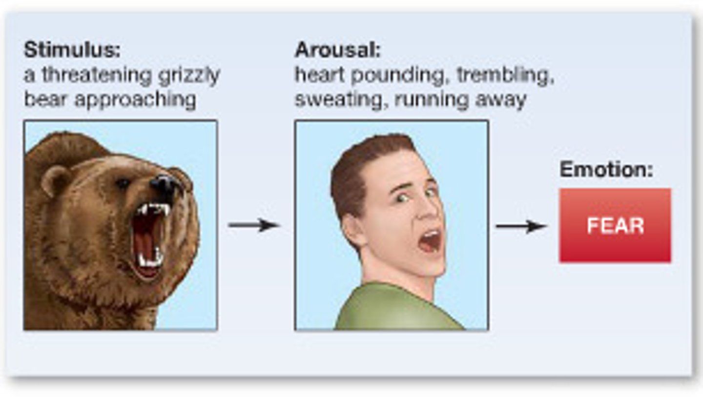 <p>theory in which a physiological reaction leads to the labeling of an emotion. I am afraid because I am shaking</p>