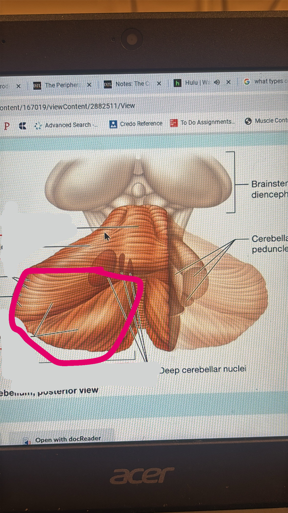 knowt flashcard image