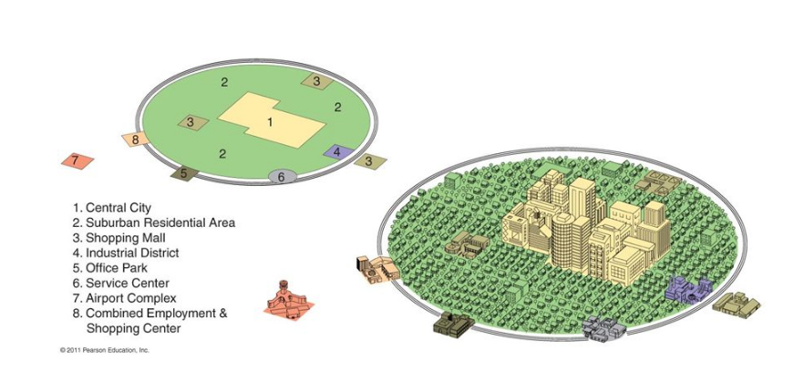 <p>a model of a city’s internal organization in which the central business district remains central, but multiple shopping areas, office parks, and industrial districts are scattered throughout the surrounding suburbs and linked by metropolitan expressway systems</p><p></p>