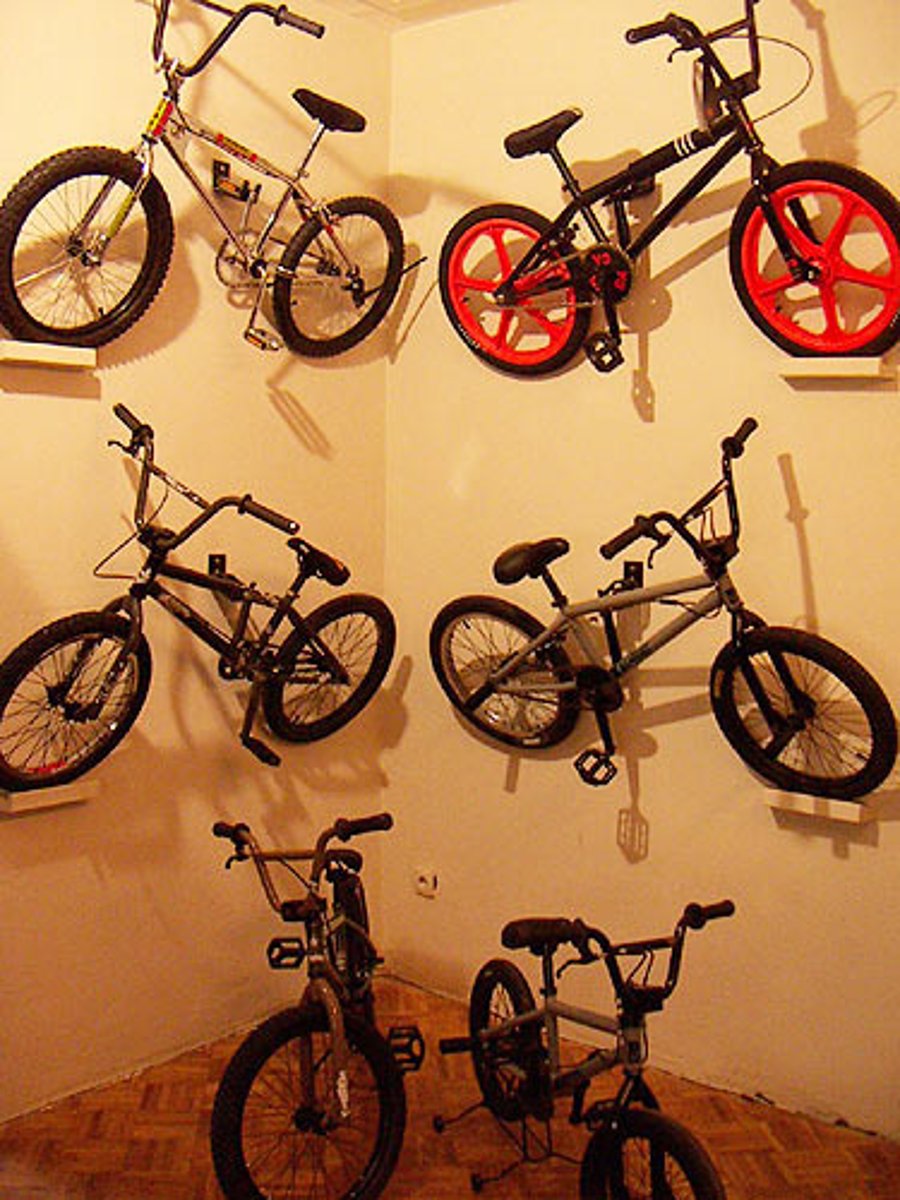 <p>sự trưng bày</p>