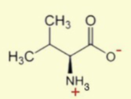 <p>has V on the CH</p>