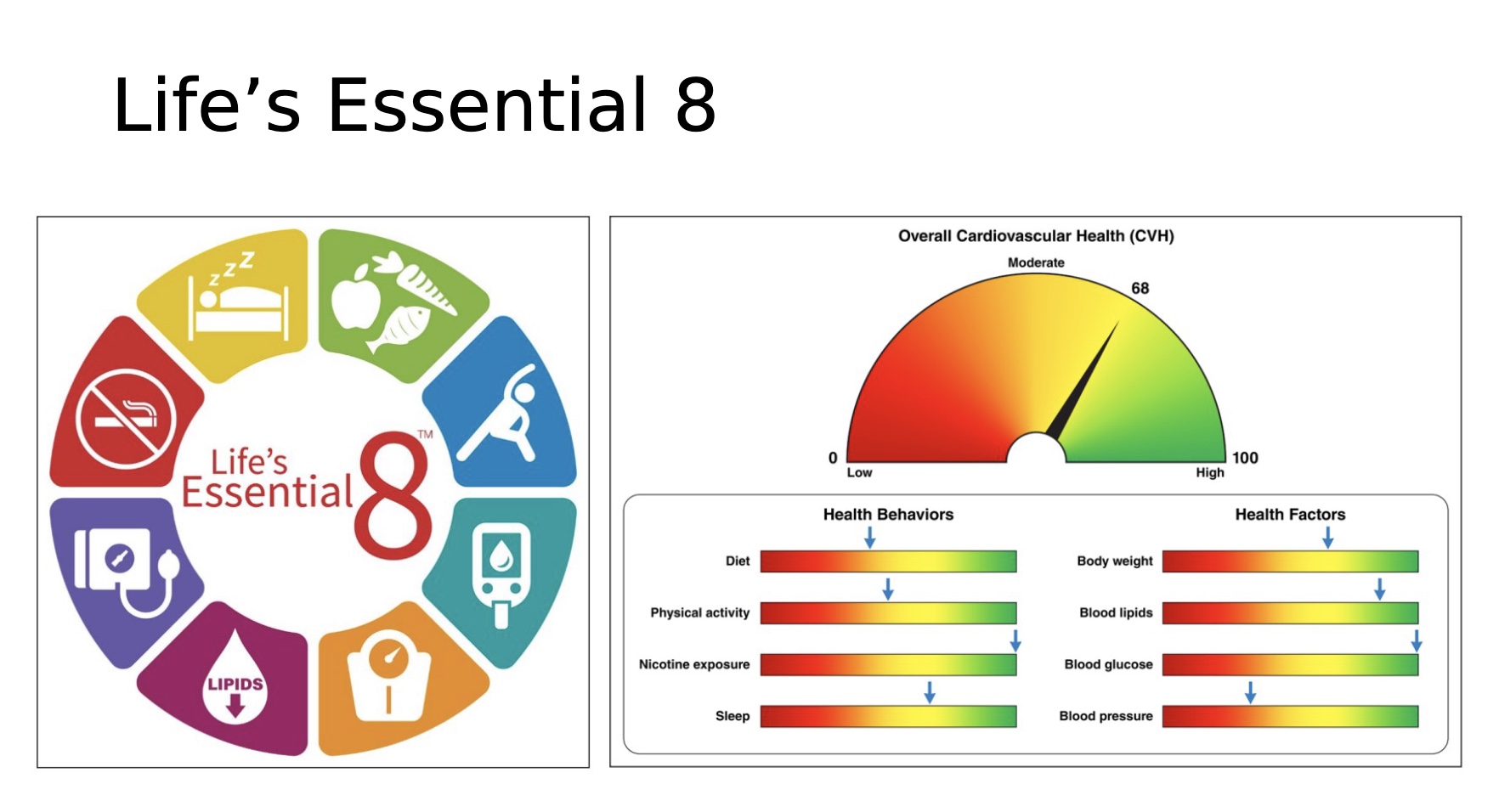 <p><mark data-color="blue" style="background-color: blue; color: inherit;">-Gives overall CV health</mark></p><p>-score 0-100, average=overall CV health</p><p>-8 categories</p><p>-Green=little risk; Yellow=lifestyle modification; Red=intervention</p><p>-Bias: diet recall, honesty of patient</p>