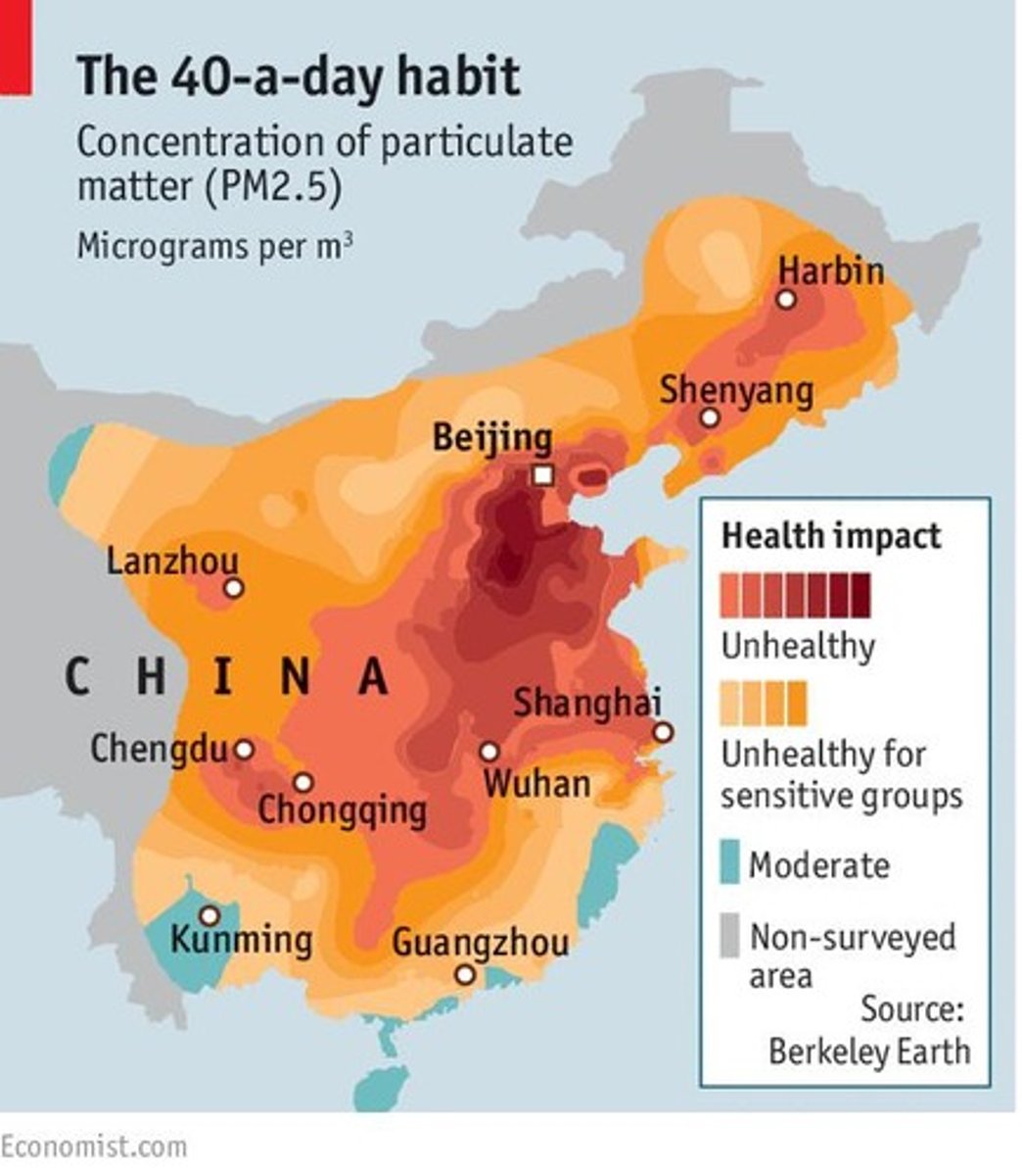 <p>Air and water pollution, depletion of natural resources, and excessive waste.</p>