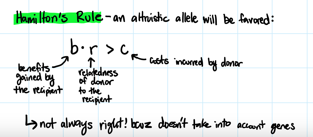 <p>altruistic allele (donor/recipient) will be favored</p><ul><li><p>not always right because it doesn’t take into account genes</p></li></ul>