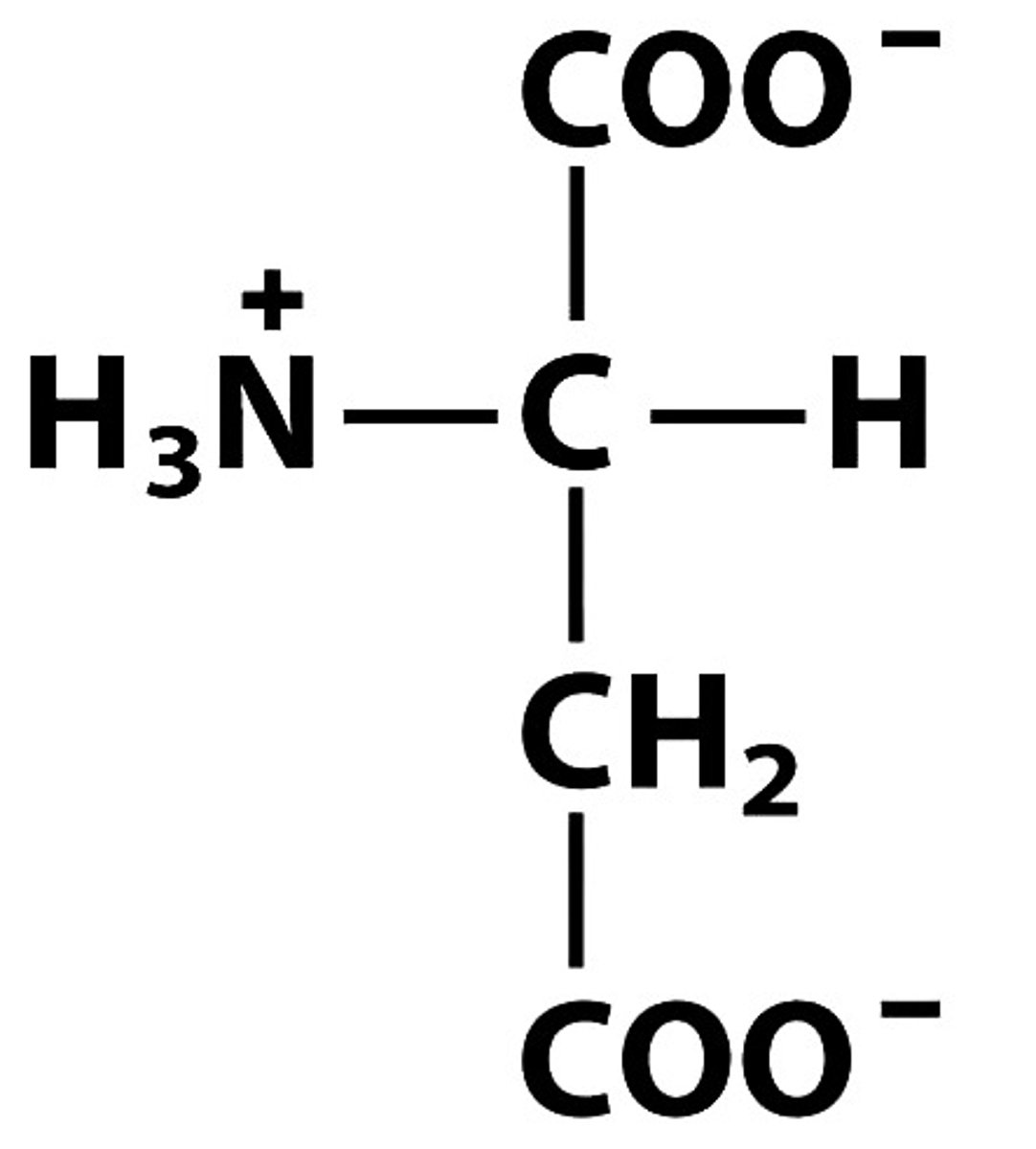 <p>Give the symbol, abbreviation, Name of this amino acid</p>