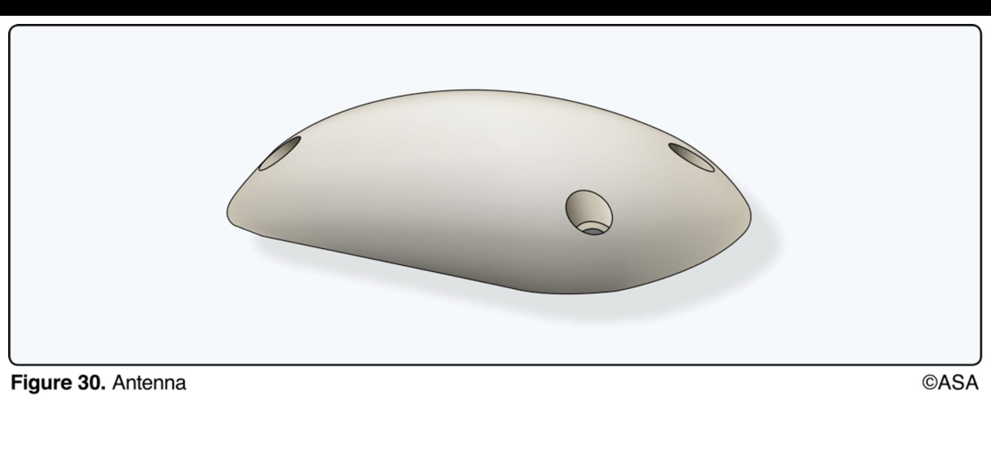 <p>(Refer to Figure 30) What kind of antenna is this?</p>