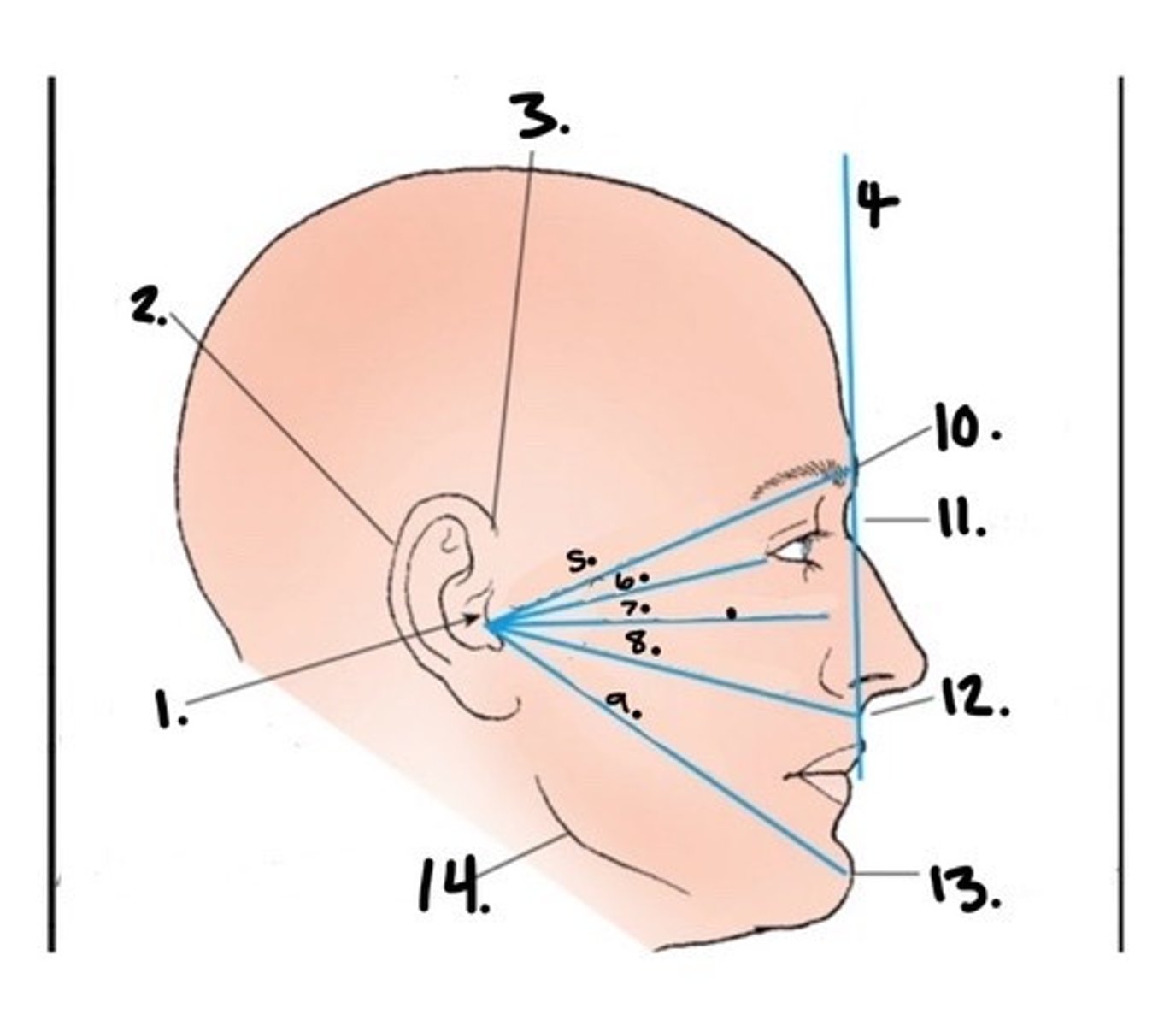 <p>What is #1</p>