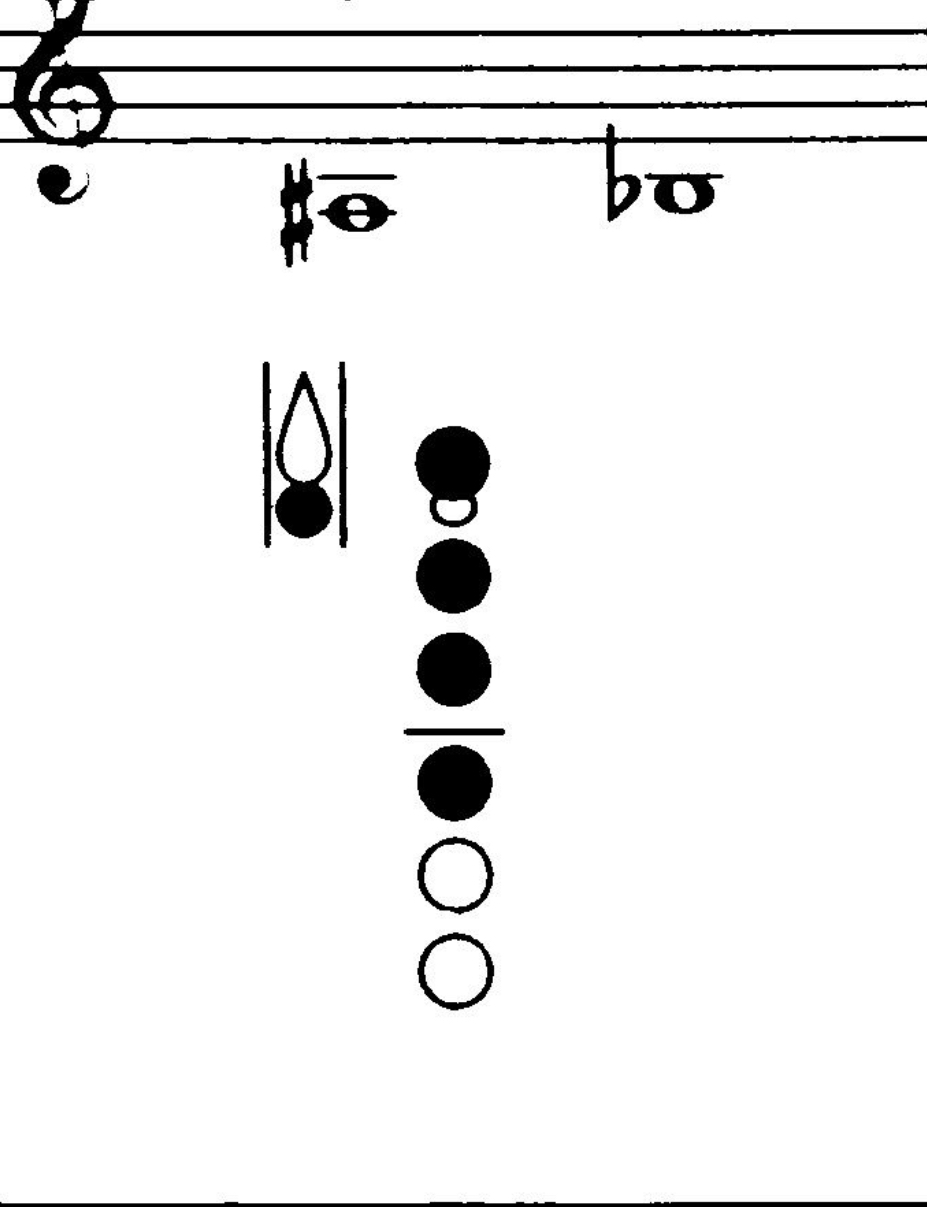 <p>What notes are these?</p>