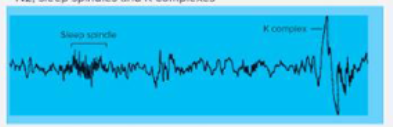 <p>NREM</p><p>theta waves, sleep spindles, K complexes </p>