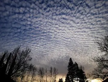 <p>Cirrocumulus Cloud</p>
