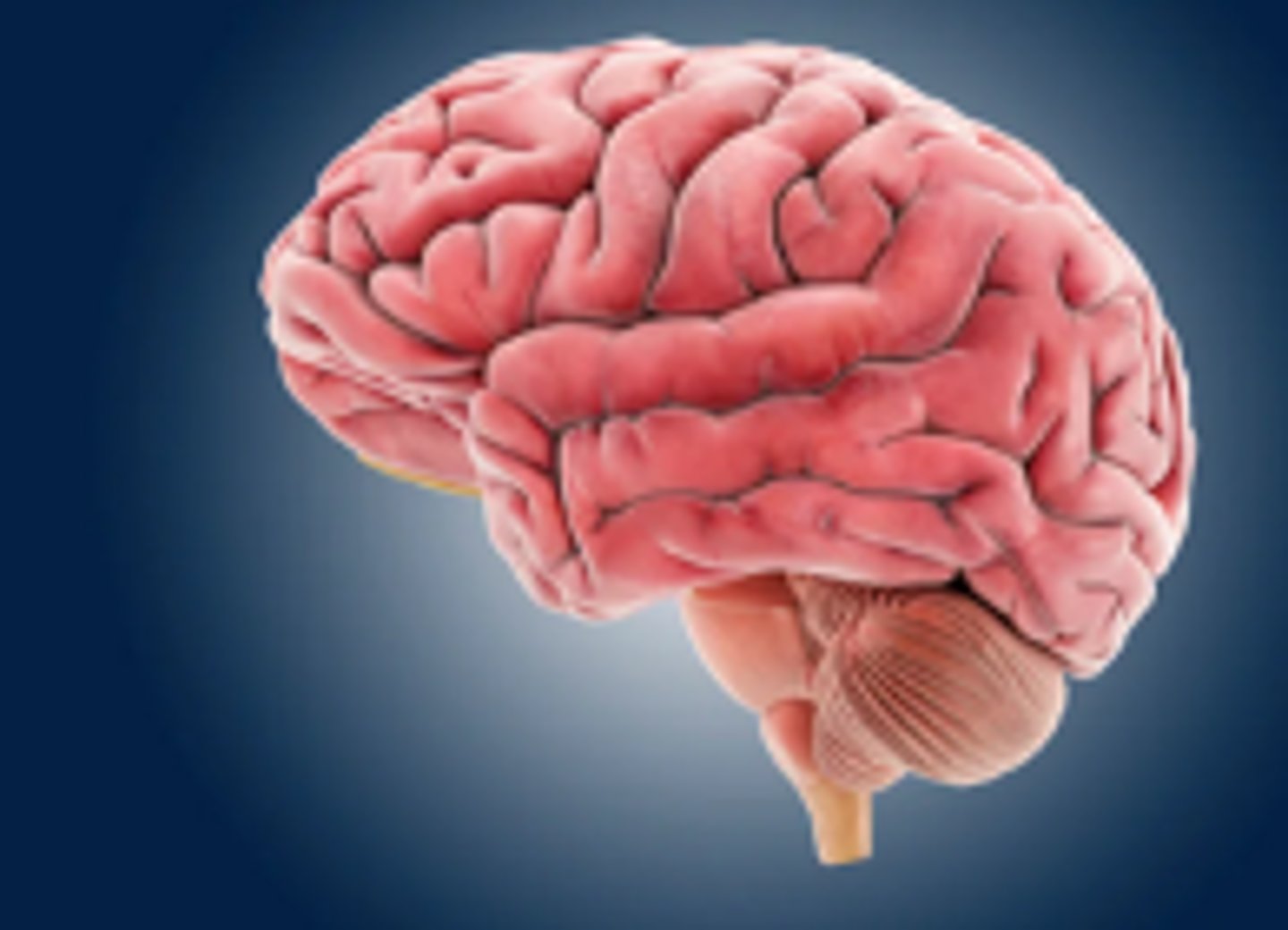 <p>- Inflammation of the brain parenchyma</p><p>- Hallmark is altered or depressed level of consciousness</p>