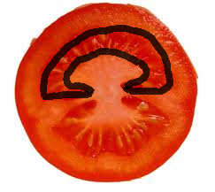 chamber/space within a fruit, indicative of how many carpels