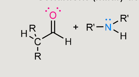 <p>What does this form under mildly acidic conditions?</p>