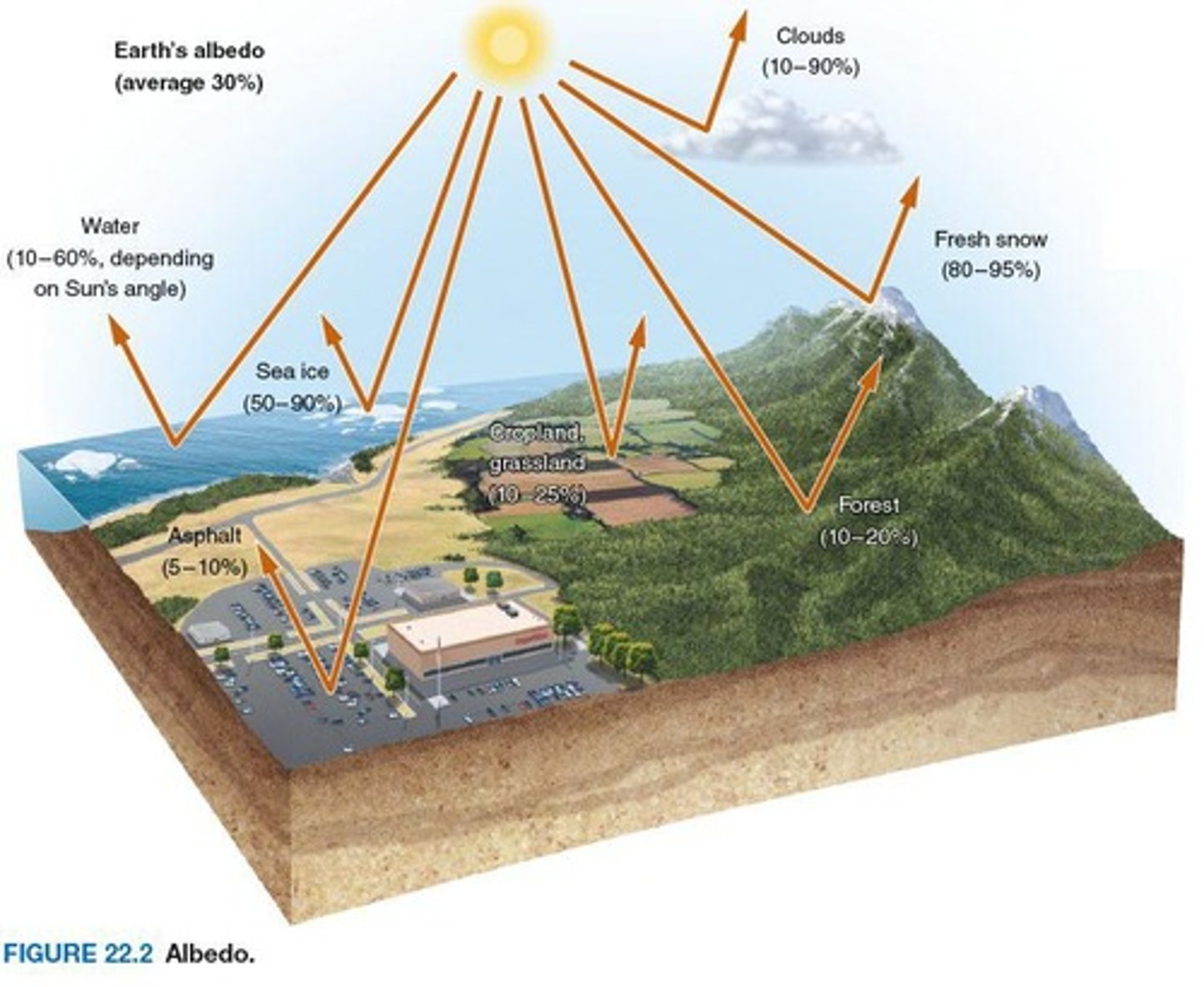 <p>The measure of how much light that reaches the Earth's surface is reflected back into space.</p>