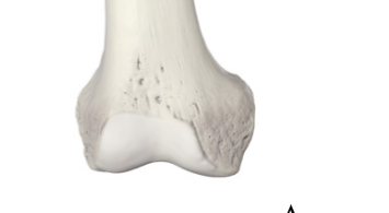 <p>Hoe heet dit vlak?</p>