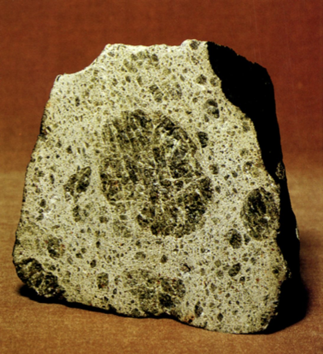 <p>What is this?</p>