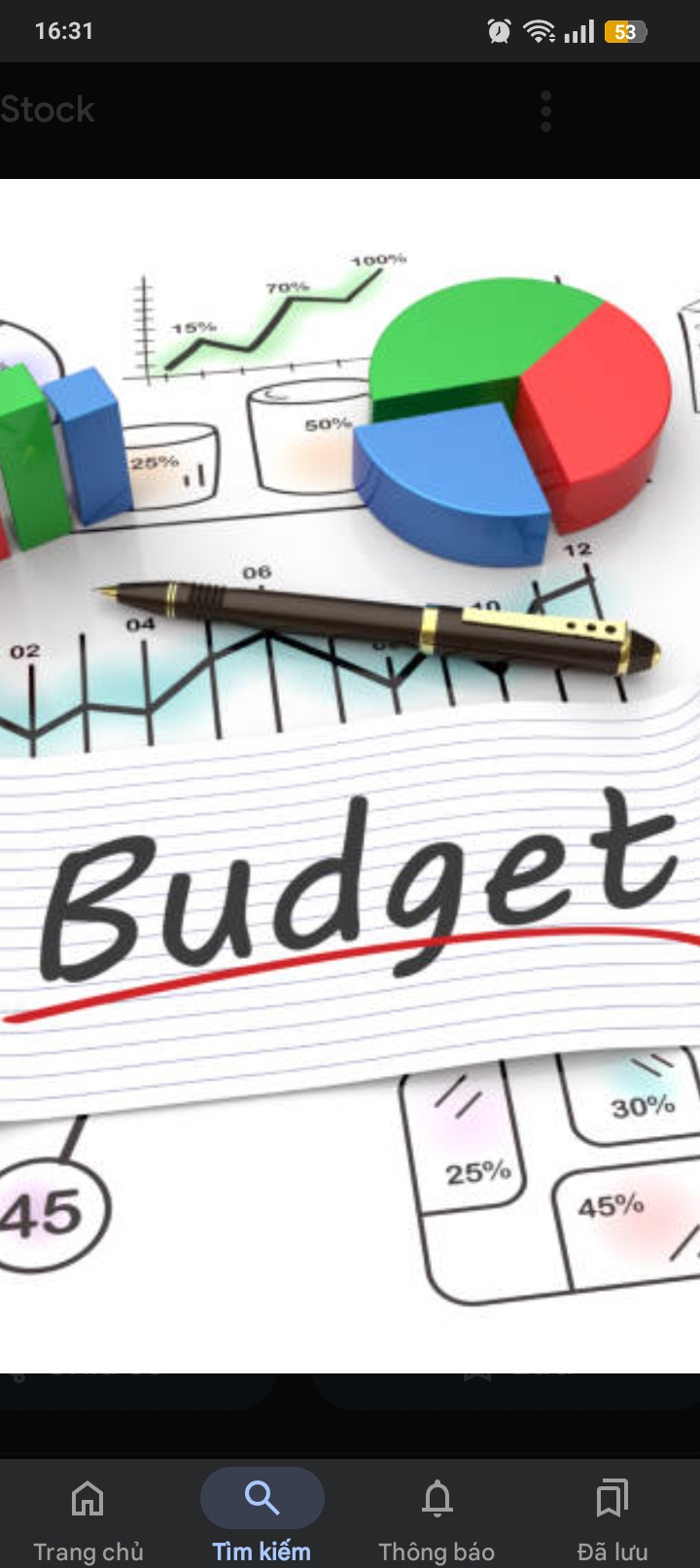 <p>‘budget (n)</p>