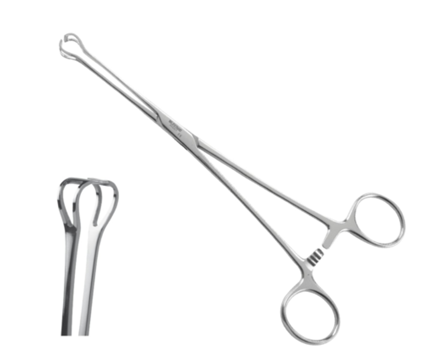 <p>- used for grasping delicate tissue (bowel)</p><p>- no teeth</p>