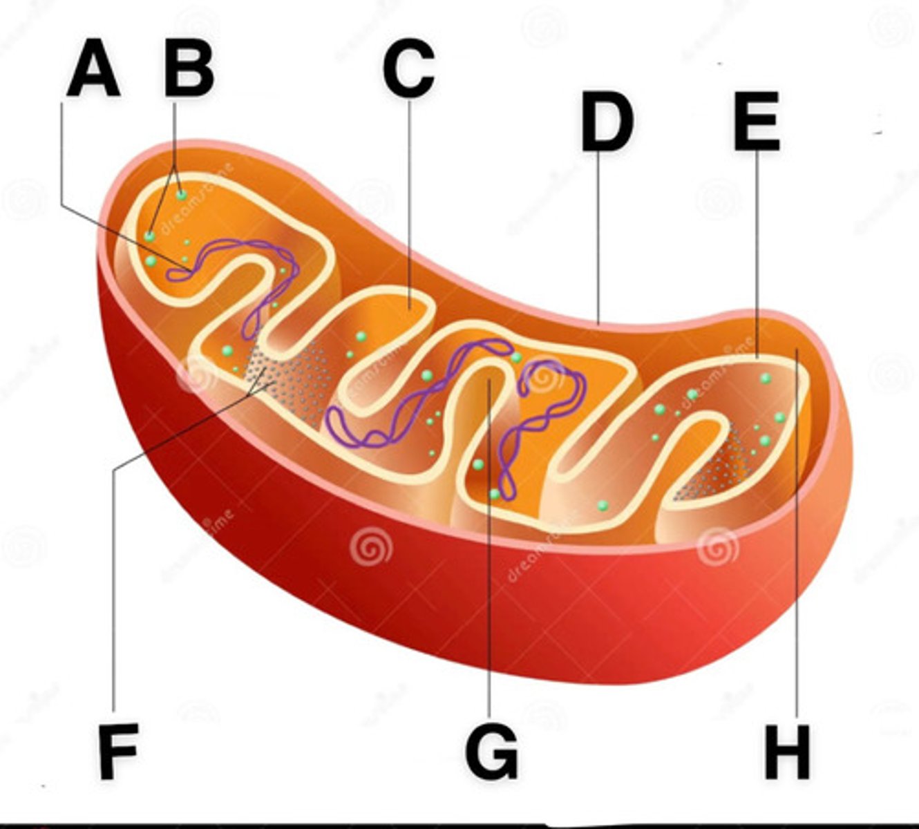 <p>What is A</p>