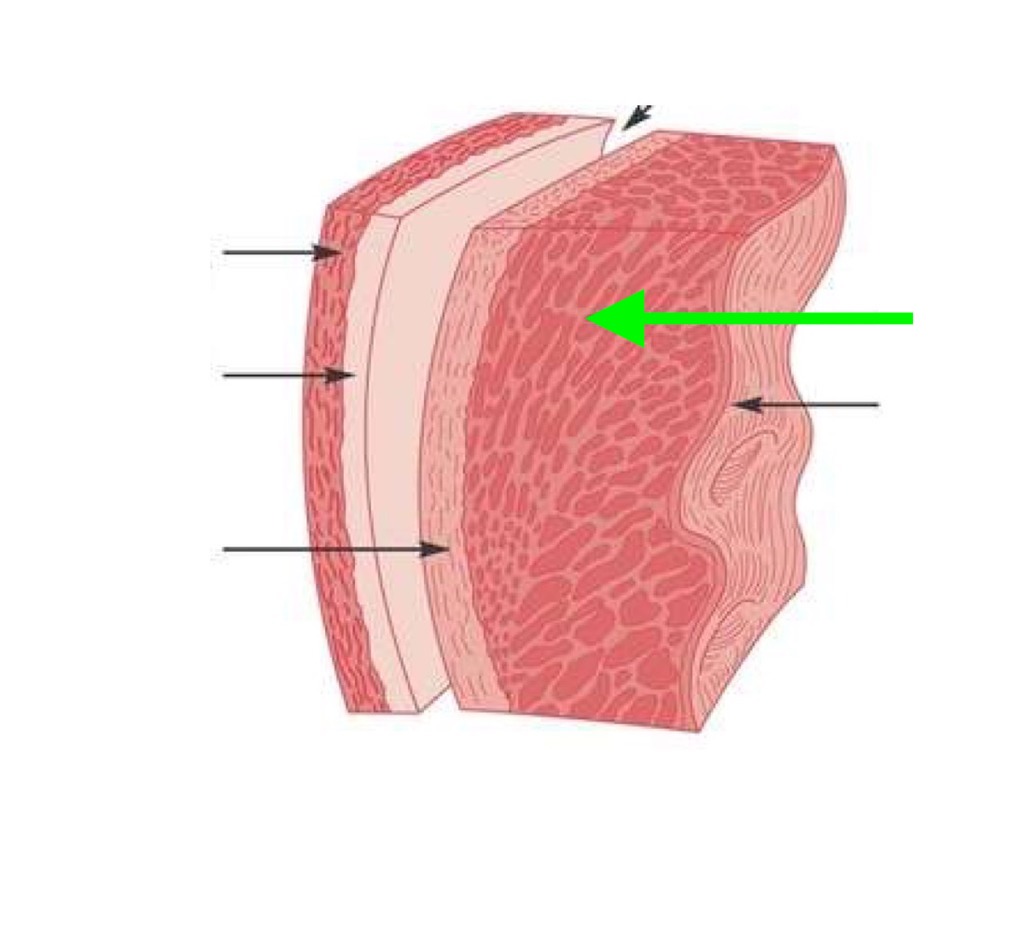<p>what is this?</p>