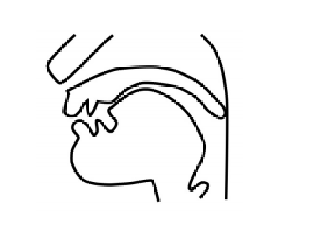 <p>Identify the place of articulation</p>