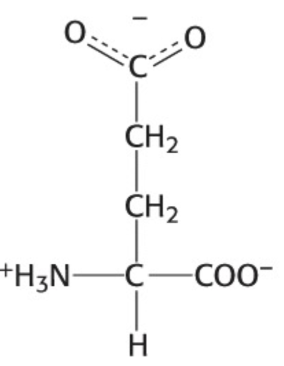 <p>Which amino acid is this</p>