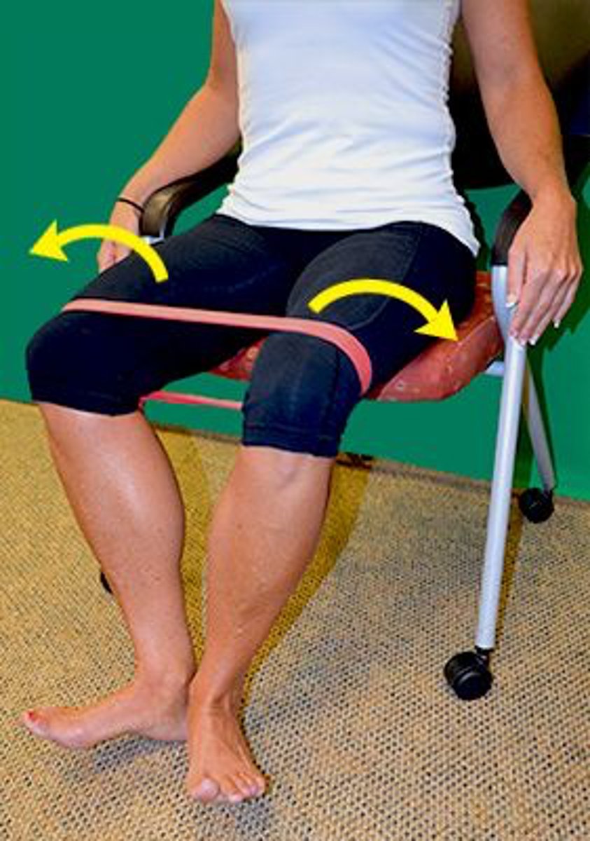 <p>The exercise shown in the photograph targets which of the following structures?</p><p>1. External sphincter muscles</p><p>2. Obturator internus muscles</p><p>3. Hip adductor muscles</p><p>4. Urogenital diaphragm</p>