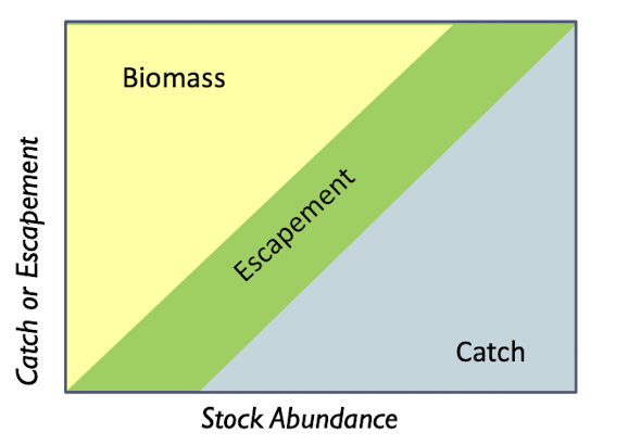 <p>harvest only after a threshold population size has been surpassed, however the level of harvest increases one to one as population size increases</p><p>alternative but rarely used </p>