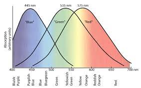 Red-high, Green-high, B- none