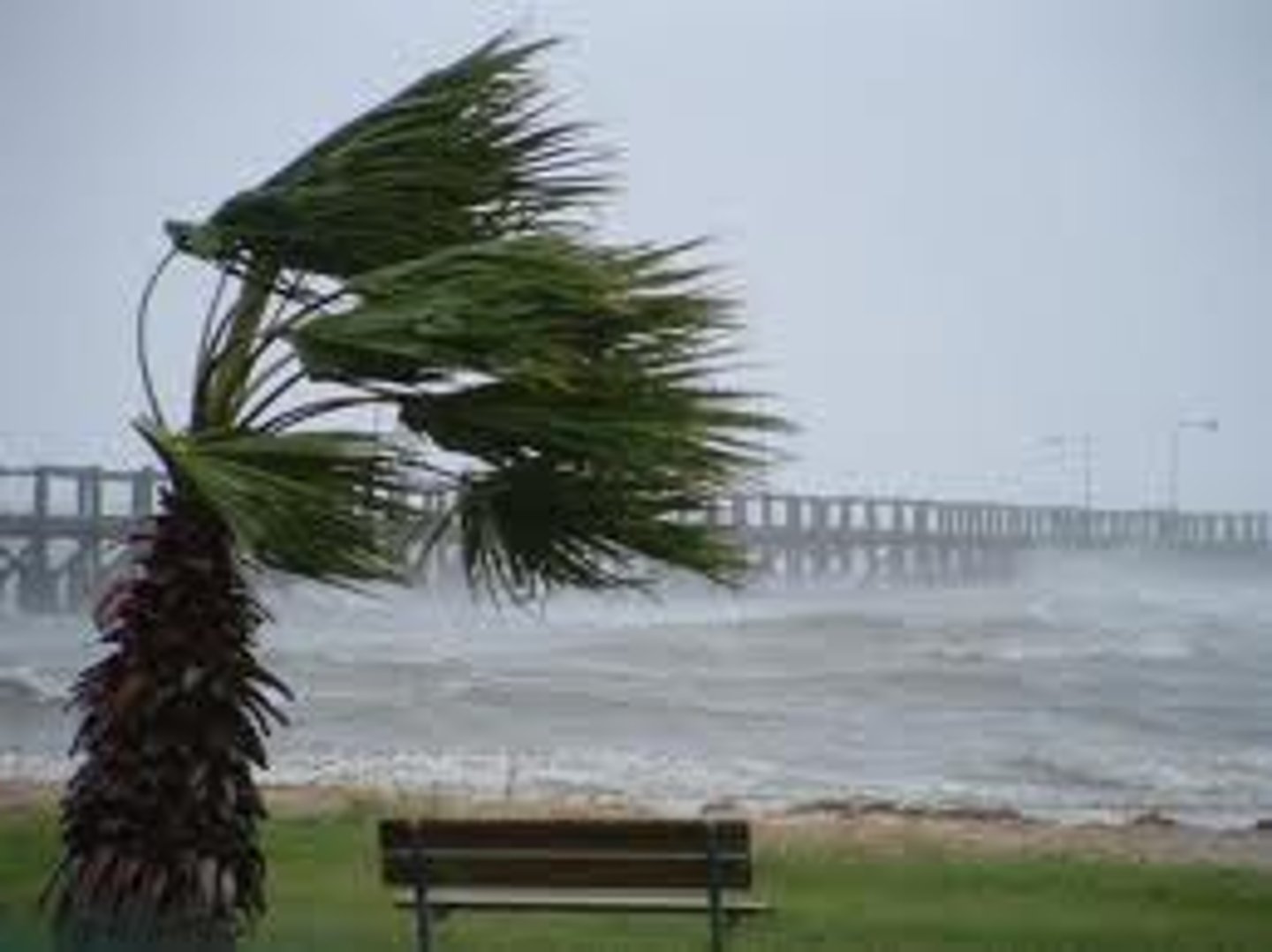 <p>It's windy (There is wind)</p>