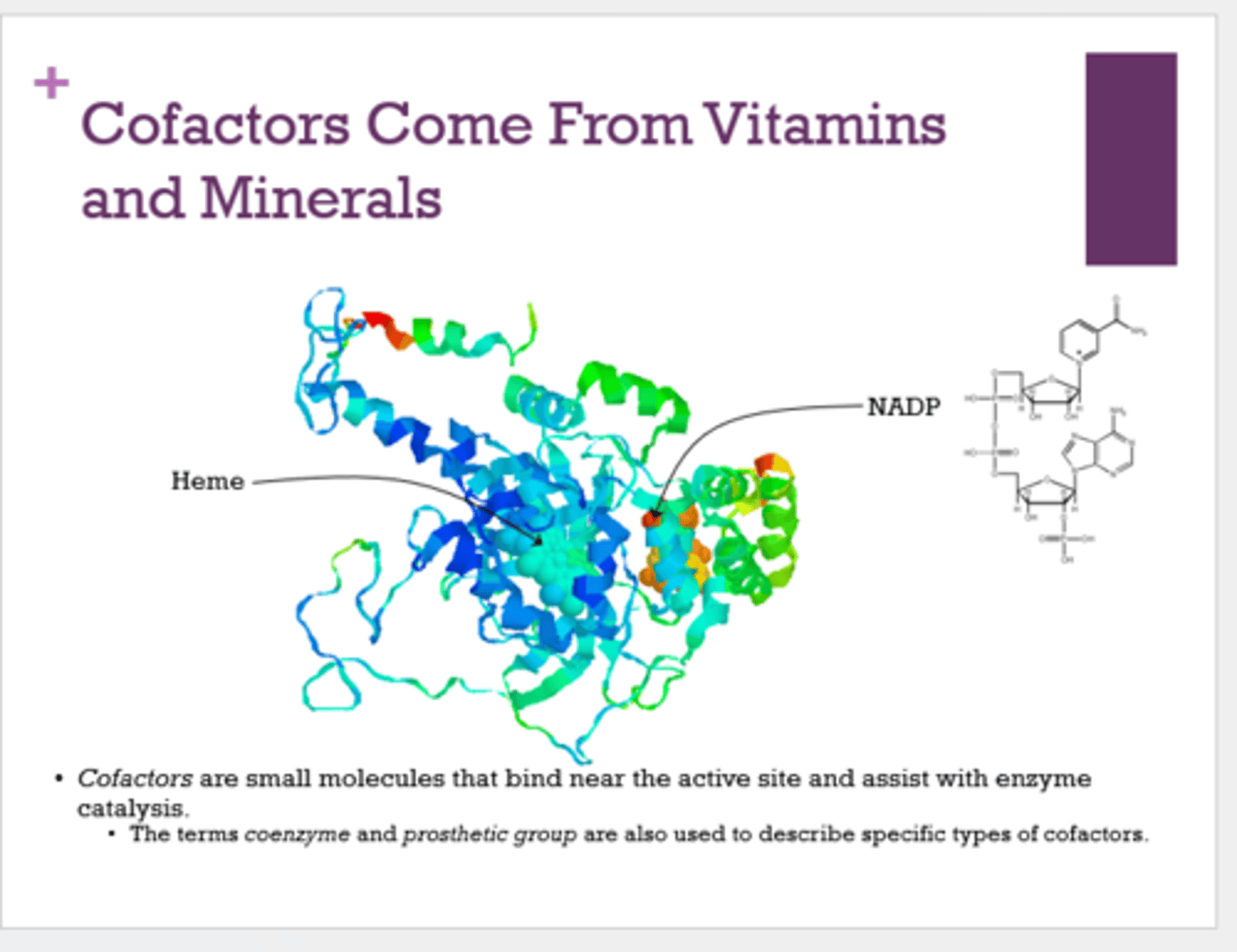 <p>vitamins and minerals</p>