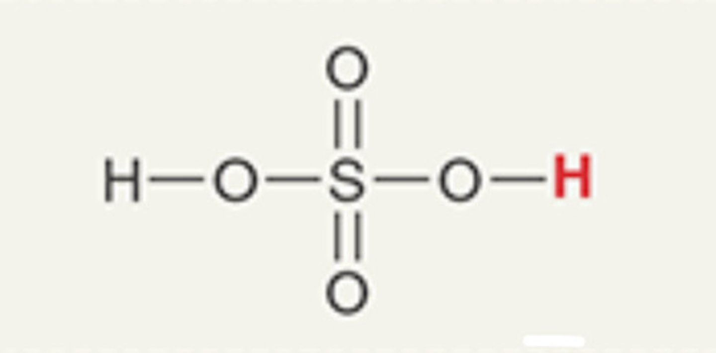 <p>Sulfuric Acid</p>