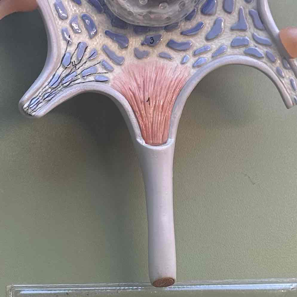 <p>1</p>
