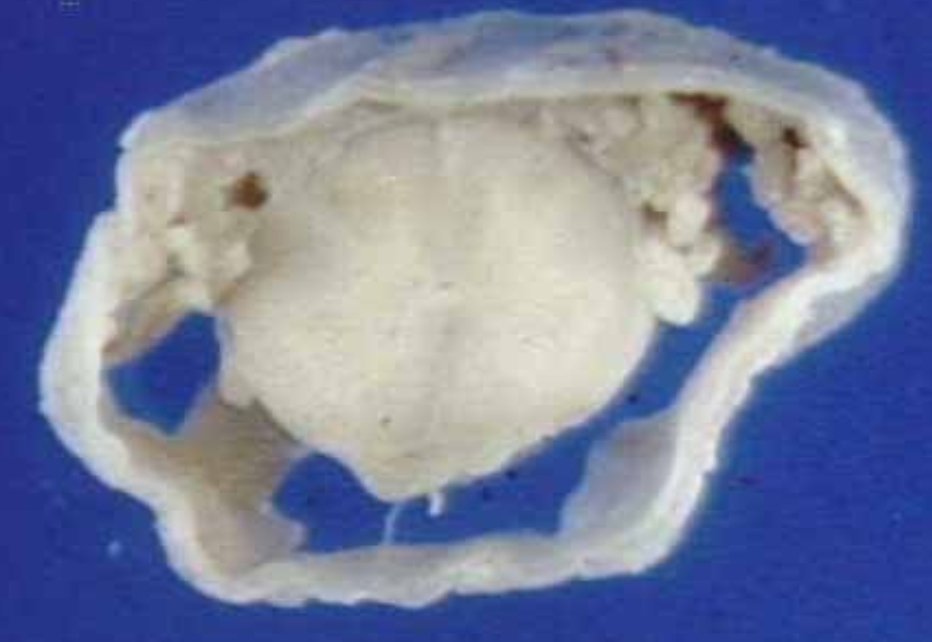 <p>What is this?</p>