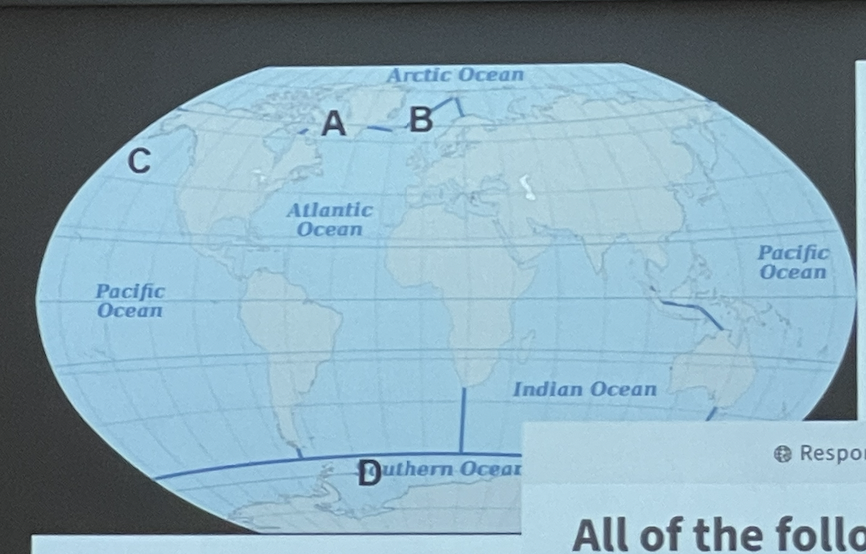 All of the following are locations of deep water formation except 